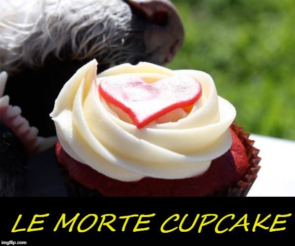the death of a cupcake | LE MORTE CUPCAKE | image tagged in dogs,cake | made w/ Imgflip meme maker