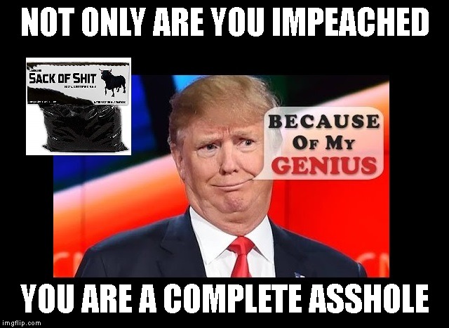 Says Rep. Dingell's Dead Husband is Looking up [ from Hell ] | NOT ONLY ARE YOU IMPEACHED; YOU ARE A COMPLETE ASSHOLE | image tagged in trump impeachment,trump is an asshole | made w/ Imgflip meme maker