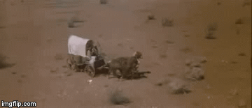 image tagged in gifs | made w/ Imgflip video-to-gif maker