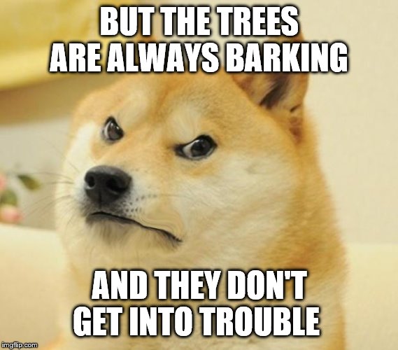 Mad doge | BUT THE TREES ARE ALWAYS BARKING AND THEY DON'T GET INTO TROUBLE | image tagged in mad doge | made w/ Imgflip meme maker