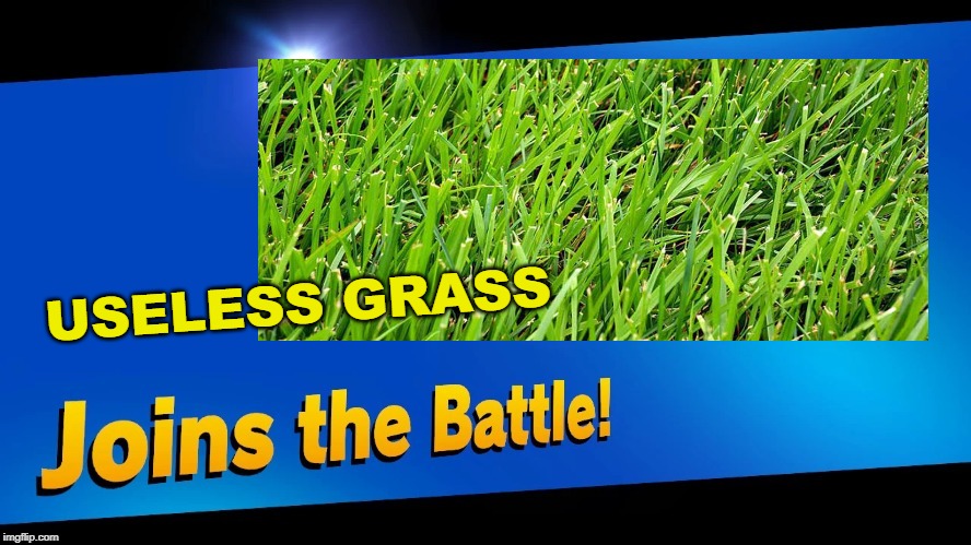 USELESS GRASS | made w/ Imgflip meme maker