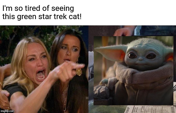 *drinks soup* | I'm so tired of seeing this green star trek cat! | image tagged in memes,woman yelling at cat,baby yoda | made w/ Imgflip meme maker