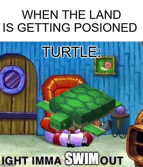 Spongebob Ight Imma Head Out Meme | WHEN THE LAND IS GETTING POSIONED; TURTLE:; SWIM | image tagged in memes,spongebob ight imma head out | made w/ Imgflip meme maker