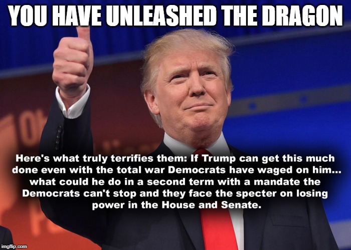 unleash the dragon | YOU HAVE UNLEASHED THE DRAGON | image tagged in trump,impeachment,house chooses political suicide political suicide | made w/ Imgflip meme maker