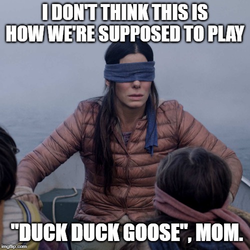 Bird Box | I DON'T THINK THIS IS HOW WE'RE SUPPOSED TO PLAY; "DUCK DUCK GOOSE", MOM. | image tagged in memes,bird box | made w/ Imgflip meme maker