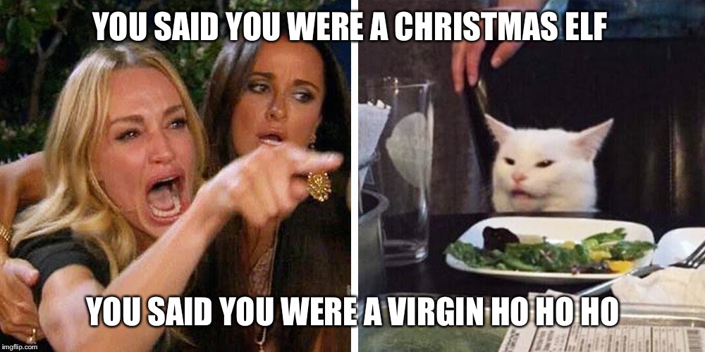 Smudge the cat | YOU SAID YOU WERE A CHRISTMAS ELF; YOU SAID YOU WERE A VIRGIN HO HO HO | image tagged in smudge the cat | made w/ Imgflip meme maker