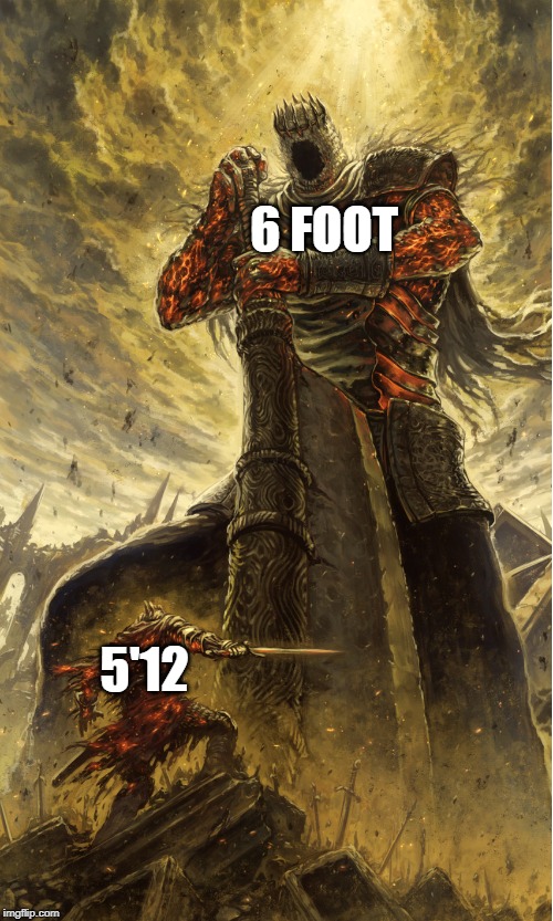 How girls see height | 6 FOOT; 5'12 | image tagged in dark souls yhorm | made w/ Imgflip meme maker
