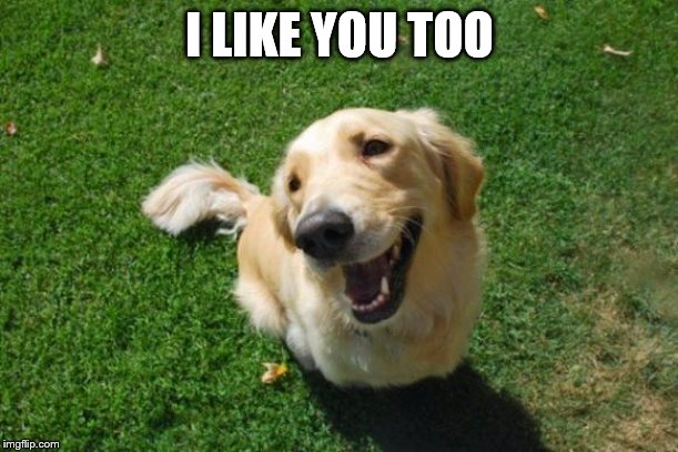 Happy Dog | I LIKE YOU TOO | image tagged in happy dog | made w/ Imgflip meme maker