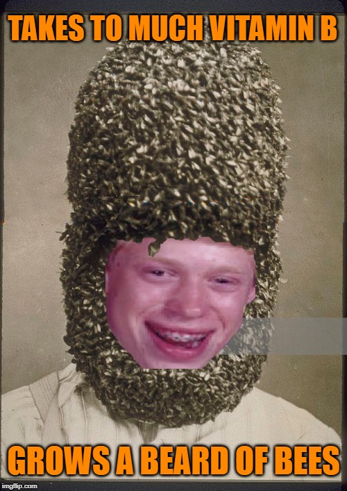 Vitamin Bee overdose | TAKES TO MUCH VITAMIN B; GROWS A BEARD OF BEES | image tagged in funny memes,memes,bad luck brian,bees,beehive,dumb | made w/ Imgflip meme maker