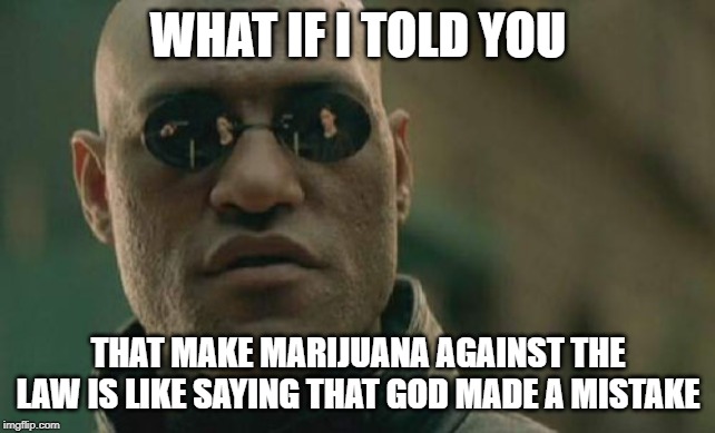 Matrix Morpheus Meme | WHAT IF I TOLD YOU; THAT MAKE MARIJUANA AGAINST THE LAW IS LIKE SAYING THAT GOD MADE A MISTAKE | image tagged in memes,matrix morpheus | made w/ Imgflip meme maker