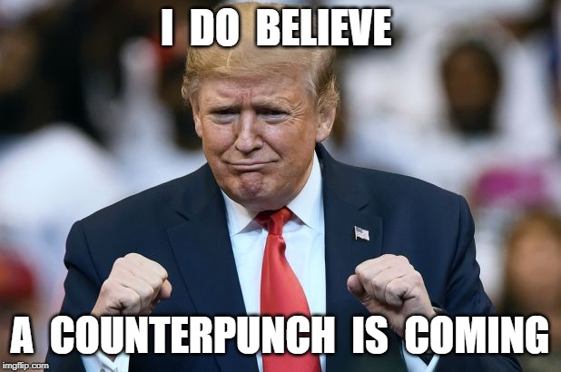 I  DO  BELIEVE; A  COUNTERPUNCH  IS  COMING | image tagged in president trump,potus,qanon | made w/ Imgflip meme maker