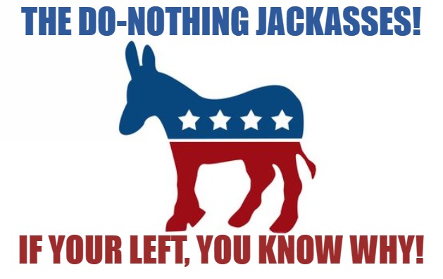 the do-nothing jackasses | THE DO-NOTHING JACKASSES! IF YOUR LEFT, YOU KNOW WHY! | image tagged in politics,democrats,fun,leftists | made w/ Imgflip meme maker