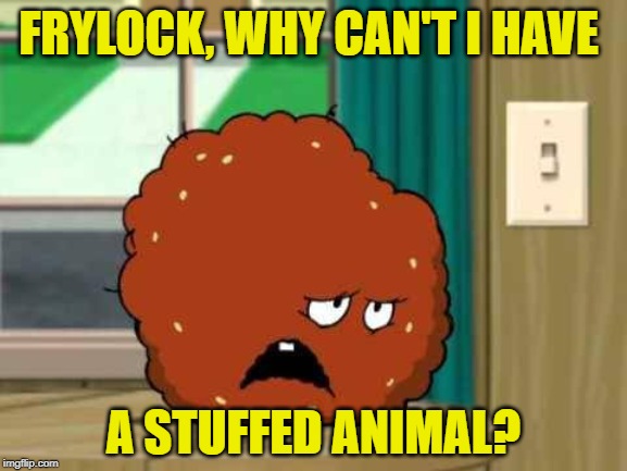 meatwad | FRYLOCK, WHY CAN'T I HAVE A STUFFED ANIMAL? | image tagged in meatwad | made w/ Imgflip meme maker