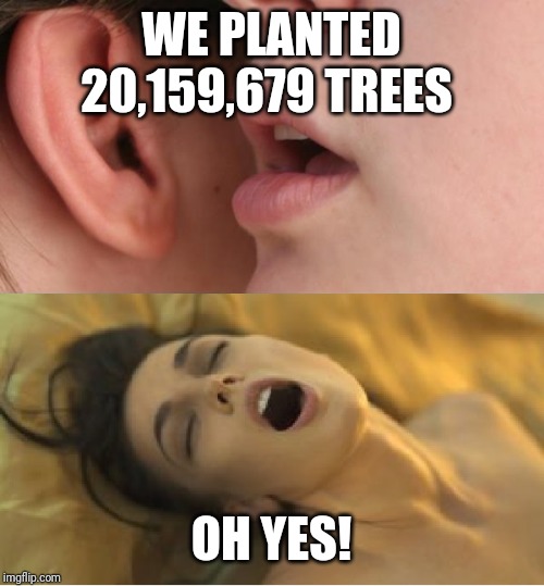 Whisper orgasm | WE PLANTED 20,159,679 TREES OH YES! | image tagged in whisper orgasm | made w/ Imgflip meme maker