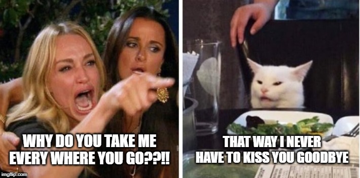 THAT WAY I NEVER HAVE TO KISS YOU GOODBYE; WHY DO YOU TAKE ME EVERY WHERE YOU GO??!! | image tagged in smudge the cat | made w/ Imgflip meme maker