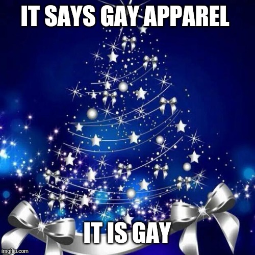 Merry Christmas  | IT SAYS GAY APPAREL; IT IS GAY | image tagged in merry christmas | made w/ Imgflip meme maker