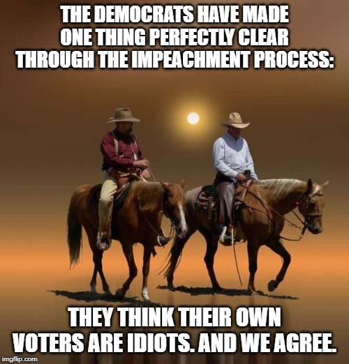idiots | THE DEMOCRATS HAVE MADE ONE THING PERFECTLY CLEAR THROUGH THE IMPEACHMENT PROCESS:; THEY THINK THEIR OWN VOTERS ARE IDIOTS. AND WE AGREE. | image tagged in two cowboys,democrats,idiots | made w/ Imgflip meme maker
