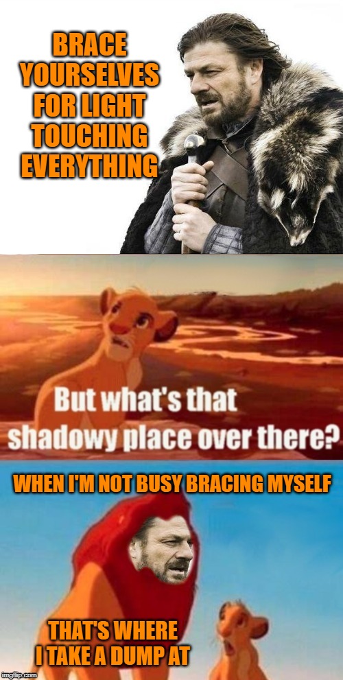 Brace yourself | BRACE YOURSELVES FOR LIGHT TOUCHING EVERYTHING; WHEN I'M NOT BUSY BRACING MYSELF; THAT'S WHERE I TAKE A DUMP AT | image tagged in memes,brace yourselves x is coming,simba shadowy place | made w/ Imgflip meme maker