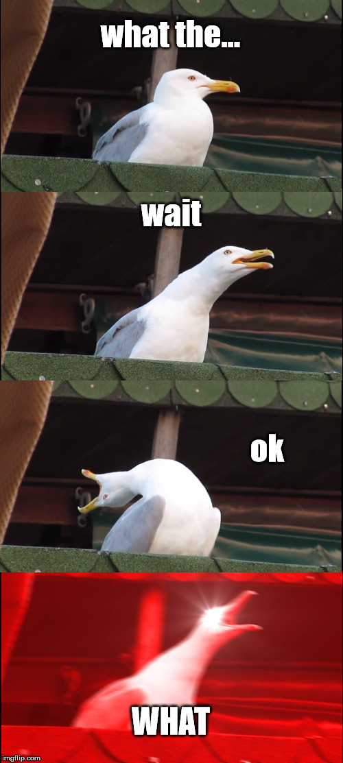 what the... wait ok WHAT | image tagged in memes,inhaling seagull | made w/ Imgflip meme maker