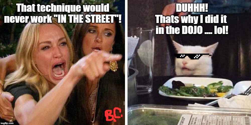 Smudge the cat | DUHHH!
Thats why I did it 
in the DOJO .... lol! That technique would never work "IN THE STREET"! | image tagged in smudge the cat | made w/ Imgflip meme maker