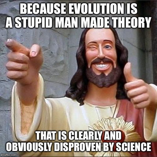jesus says | BECAUSE EVOLUTION IS A STUPID MAN MADE THEORY THAT IS CLEARLY AND OBVIOUSLY DISPROVEN BY SCIENCE | image tagged in jesus says | made w/ Imgflip meme maker