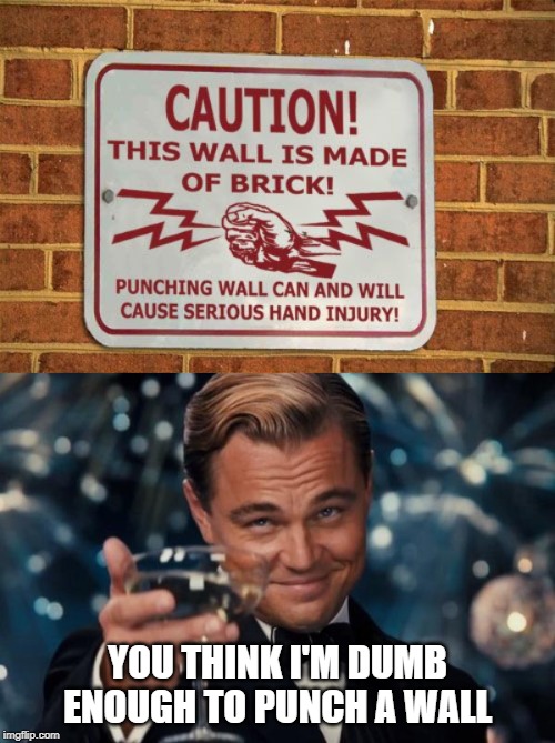 YOU THINK I'M DUMB ENOUGH TO PUNCH A WALL | image tagged in memes,leonardo dicaprio cheers | made w/ Imgflip meme maker