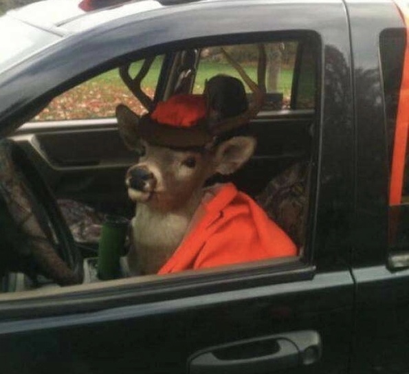 Reindeer behind the wheel Blank Meme Template