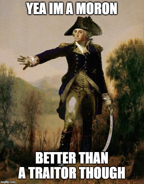 George Washington 6 | YEA IM A MORON BETTER THAN A TRAITOR THOUGH | image tagged in george washington 6 | made w/ Imgflip meme maker