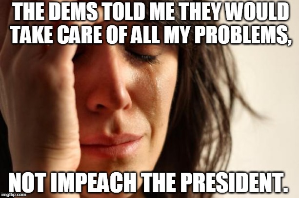 First World Problems Meme | THE DEMS TOLD ME THEY WOULD TAKE CARE OF ALL MY PROBLEMS, NOT IMPEACH THE PRESIDENT. | image tagged in memes,first world problems | made w/ Imgflip meme maker