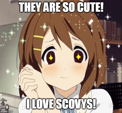 aww anime girl | THEY ARE SO CUTE! I LOVE SCOVYS! | image tagged in aww anime girl | made w/ Imgflip meme maker