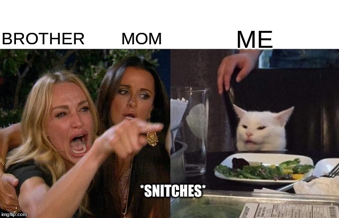 Woman Yelling At Cat Meme | BROTHER        MOM; ME; *SNITCHES* | image tagged in memes,woman yelling at cat | made w/ Imgflip meme maker