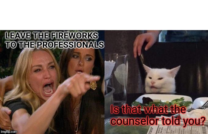 Woman Yelling At Cat | LEAVE THE FIREWORKS TO THE PROFESSIONALS; Is that what the counselor told you? | image tagged in memes,woman yelling at cat | made w/ Imgflip meme maker