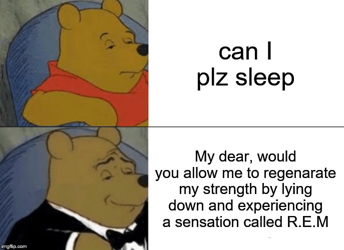 Tuxedo Winnie The Pooh Meme |  can I plz sleep; My dear, would you allow me to regenarate my strength by lying down and experiencing a sensation called R.E.M | image tagged in memes,tuxedo winnie the pooh | made w/ Imgflip meme maker