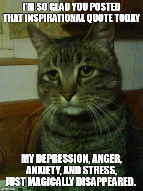 Depressed Cat | I'M SO GLAD YOU POSTED THAT INSPIRATIONAL QUOTE TODAY; MY DEPRESSION, ANGER, ANXIETY, AND STRESS, JUST MAGICALLY DISAPPEARED. | image tagged in memes,depressed cat,random,stress,anxiety,anger | made w/ Imgflip meme maker