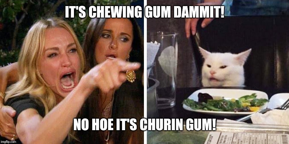 Smudge the cat | IT'S CHEWING GUM DAMMIT! NO HOE IT'S CHURIN GUM! | image tagged in smudge the cat | made w/ Imgflip meme maker