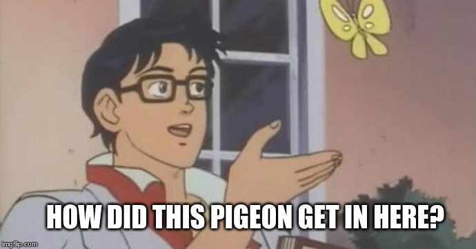 Is This a Pigeon | HOW DID THIS PIGEON GET IN HERE? | image tagged in is this a pigeon | made w/ Imgflip meme maker