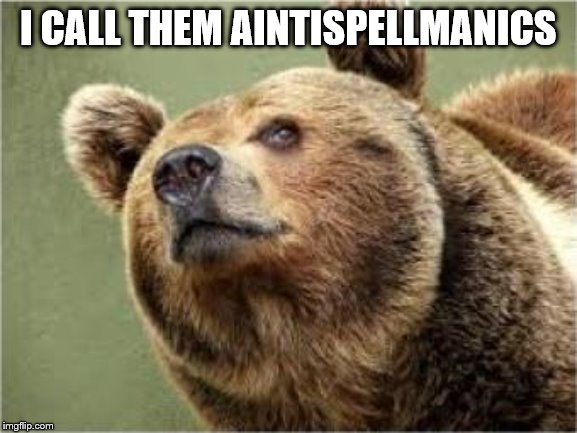Smug Bear Meme | I CALL THEM AINTISPELLMANICS | image tagged in memes,smug bear | made w/ Imgflip meme maker