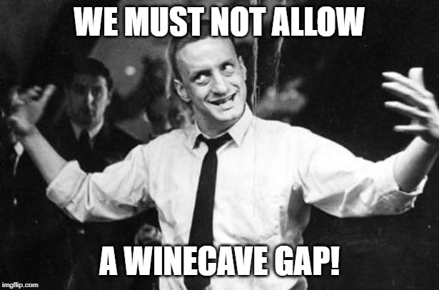 winecave gap | WE MUST NOT ALLOW; A WINECAVE GAP! | image tagged in politics | made w/ Imgflip meme maker