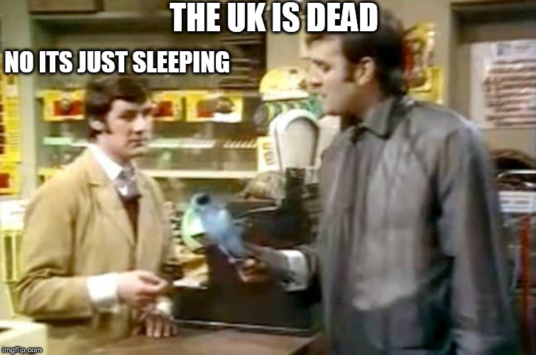 Monty python dead parrot | THE UK IS DEAD; NO ITS JUST SLEEPING | image tagged in monty python dead parrot | made w/ Imgflip meme maker