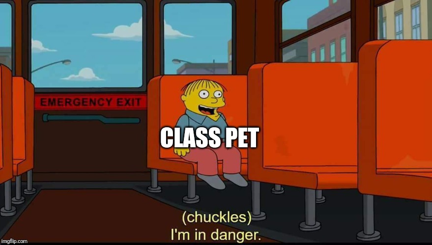 I'm In Danger | CLASS PET | image tagged in i'm in danger | made w/ Imgflip meme maker