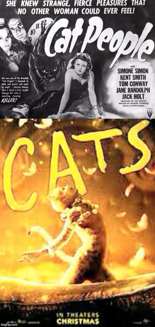 CATS | image tagged in cat | made w/ Imgflip meme maker