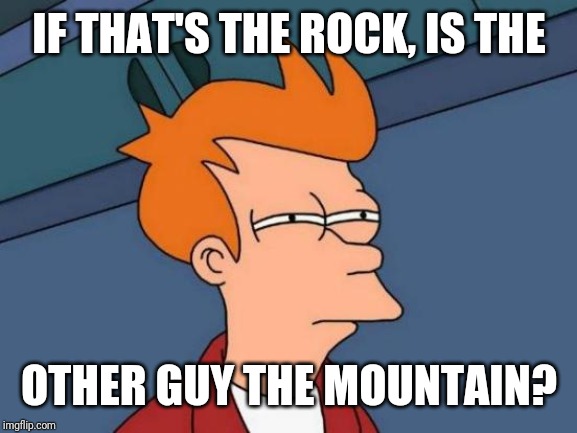 Futurama Fry Meme | IF THAT'S THE ROCK, IS THE OTHER GUY THE MOUNTAIN? | image tagged in memes,futurama fry | made w/ Imgflip meme maker