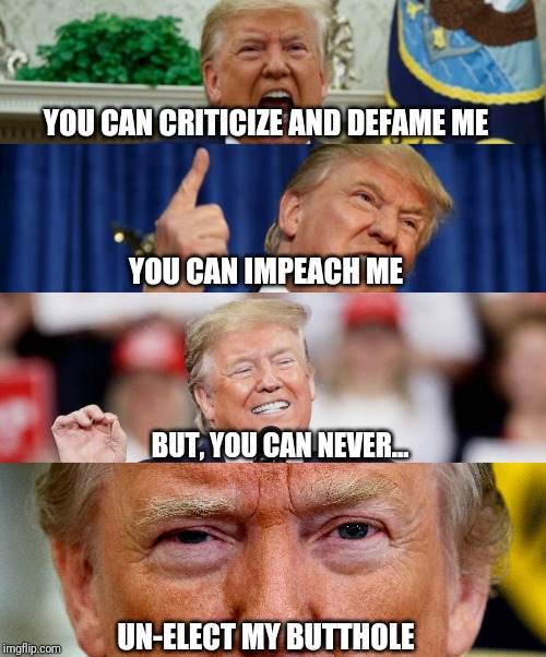 Impeachment? You pronounced "early re-election" wrong... | YOU CAN CRITICIZE AND DEFAME ME; YOU CAN IMPEACH ME; BUT, YOU CAN NEVER... UN-ELECT MY BUTTHOLE | image tagged in trump,impeachment,impeach,impeach trump | made w/ Imgflip meme maker