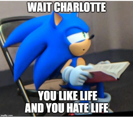 Sonic | WAIT CHARLOTTE; YOU LIKE LIFE AND YOU HATE LIFE | image tagged in sonic | made w/ Imgflip meme maker