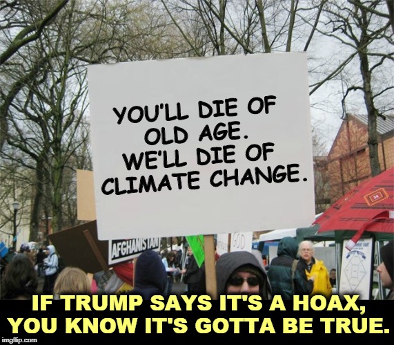 It's not just one teenage girl, it's a whole generation that will have to clean up the mess you leave behind. | YOU’LL DIE OF 
OLD AGE. 

WE’LL DIE OF 
CLIMATE CHANGE. IF TRUMP SAYS IT'S A HOAX, YOU KNOW IT'S GOTTA BE TRUE. | image tagged in blank protest sign,climate change,global warming,greta thunberg,trump | made w/ Imgflip meme maker