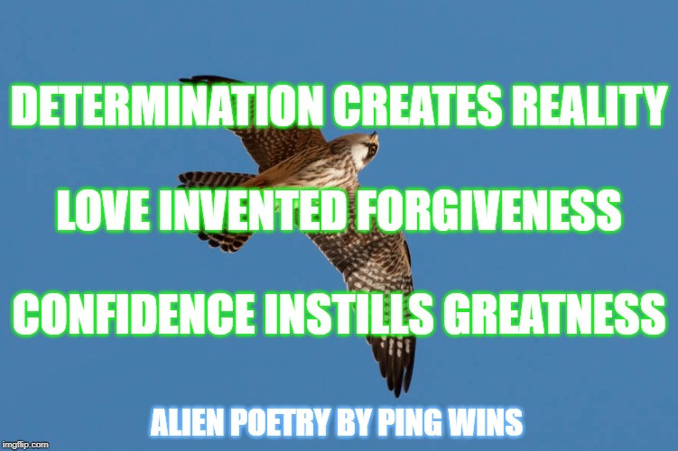 Alien Poetry by Ping Wins 010 Love Creates Reality | DETERMINATION CREATES REALITY
 
LOVE INVENTED FORGIVENESS
 
CONFIDENCE INSTILLS GREATNESS; ALIEN POETRY BY PING WINS | image tagged in falcon,alien poetry,ping wins,greatness,love,confidence | made w/ Imgflip meme maker