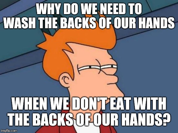 Futurama Fry Meme | WHY DO WE NEED TO WASH THE BACKS OF OUR HANDS; WHEN WE DON'T EAT WITH THE BACKS OF OUR HANDS? | image tagged in memes,futurama fry | made w/ Imgflip meme maker