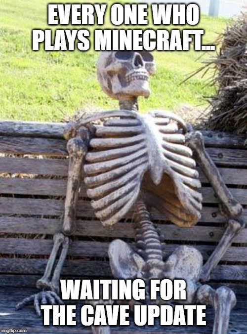 Waiting Skeleton | EVERY ONE WHO PLAYS MINECRAFT... WAITING FOR THE CAVE UPDATE | image tagged in memes,waiting skeleton | made w/ Imgflip meme maker