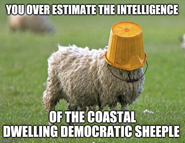 stupid sheep | YOU OVER ESTIMATE THE INTELLIGENCE OF THE COASTAL DWELLING DEMOCRATIC SHEEPLE | image tagged in stupid sheep | made w/ Imgflip meme maker