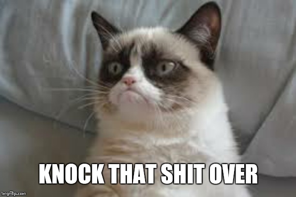 Grumpy cat | KNOCK THAT SHIT OVER | image tagged in grumpy cat | made w/ Imgflip meme maker